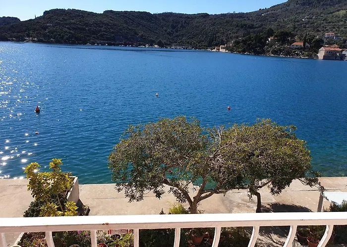 Malfi-studio With Balcony And Sea View A2 Zaton (Dubrovnik-Neretva)